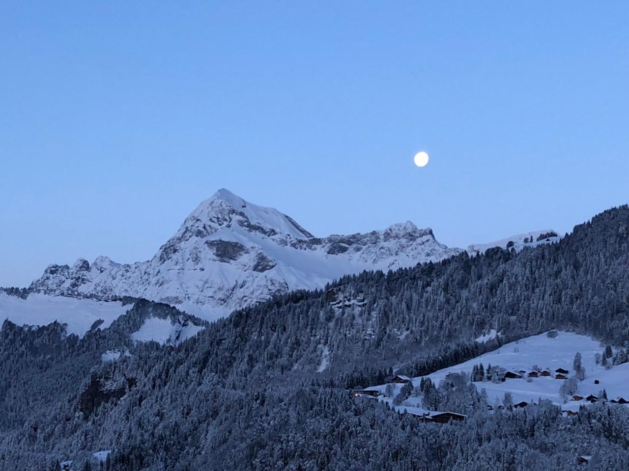 Chalet Nanook ノートル・ダム・ド・ベルコンブ エクステリア 写真