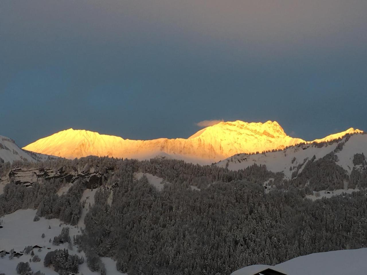 Chalet Nanook ノートル・ダム・ド・ベルコンブ エクステリア 写真
