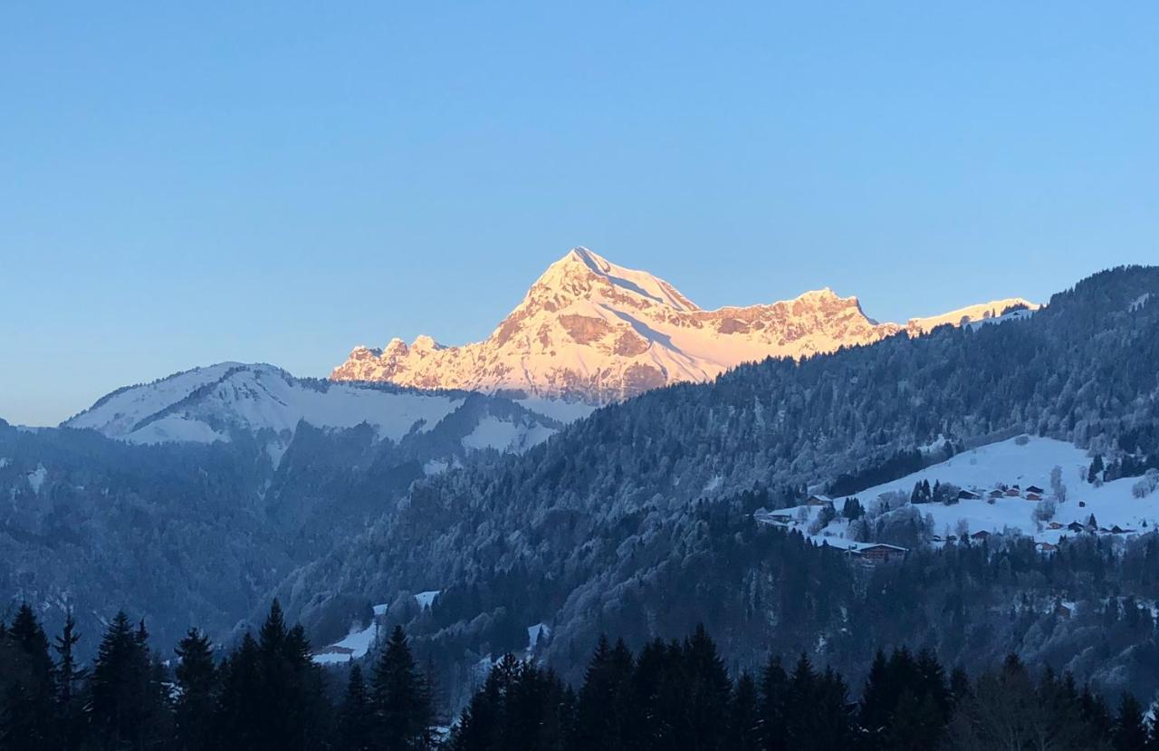 Chalet Nanook ノートル・ダム・ド・ベルコンブ エクステリア 写真